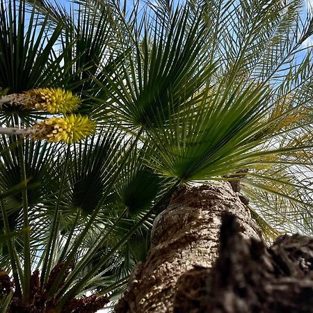 Orsola Apartments Favignana Dış mekan fotoğraf